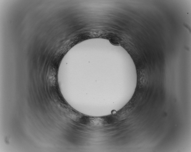 X0000099940226200806131432