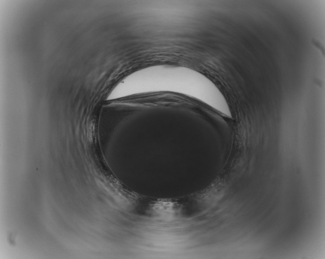 X0000099940227200806131432