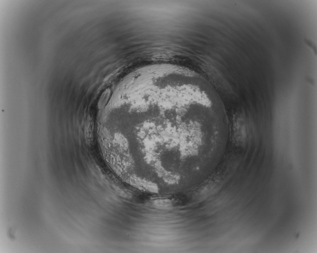 X0000099940228200806131432