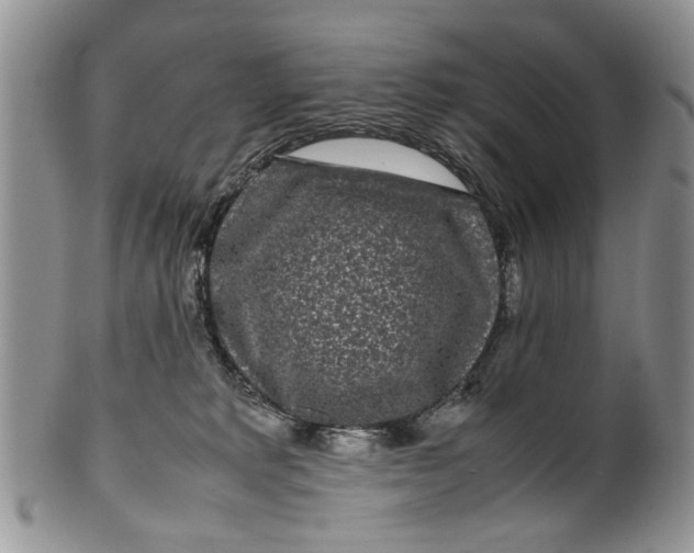 X0000099940229200806131432