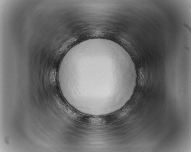 X0000099940230200806131432