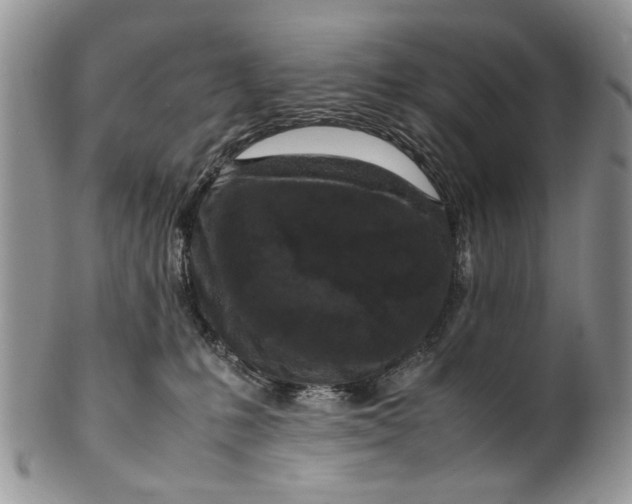 X0000099940231200806131432