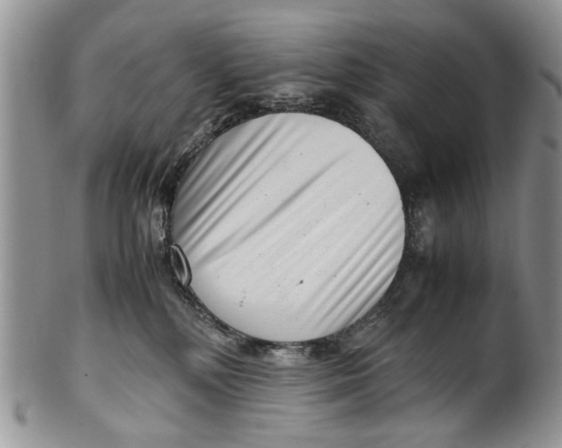 X0000099940232200806131432