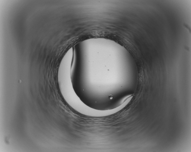 X0000099940233200806131432