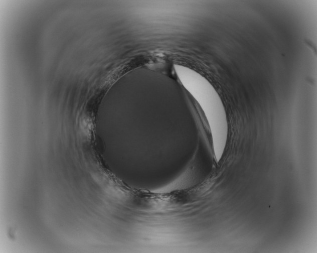 X0000099940235200806131432