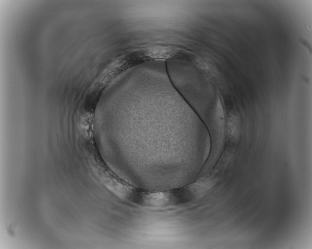 X0000099940237200806131432