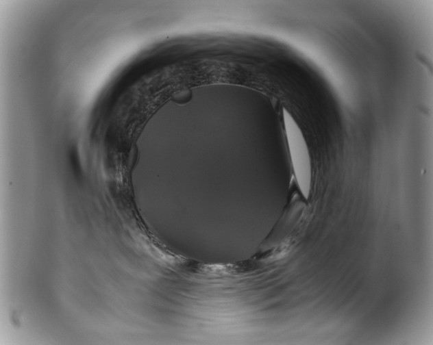 X0000099940239200806131432