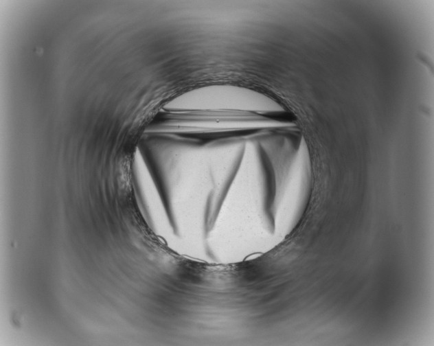 X0000099940240200806131432