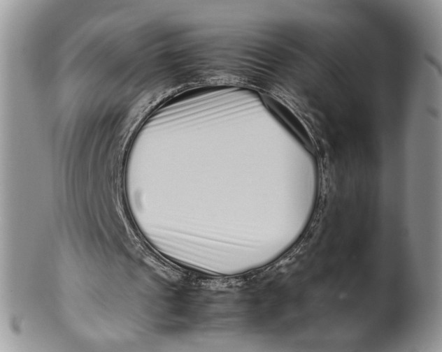 X0000099940241200806131431