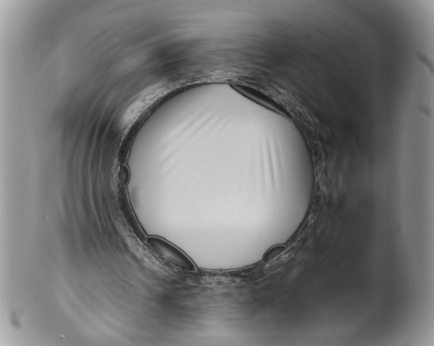 X0000099940242200806131431