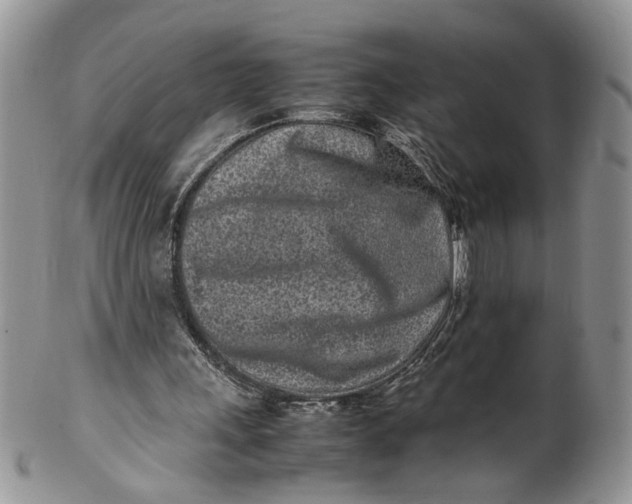 X0000099940243200806131431