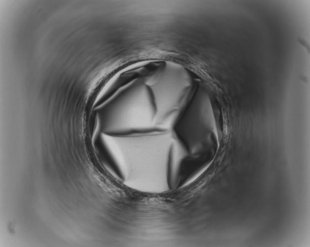 X0000099940244200806131431