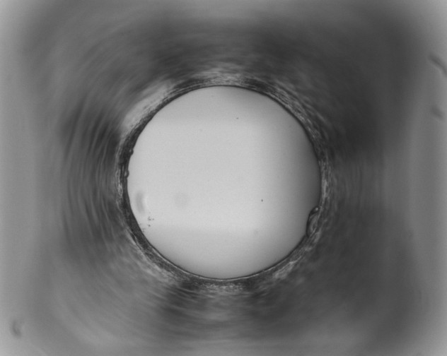 X0000099940245200806131431