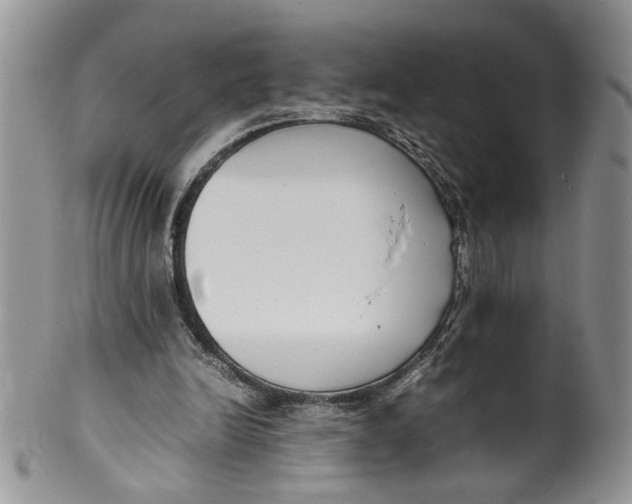 X0000099940246200806131431