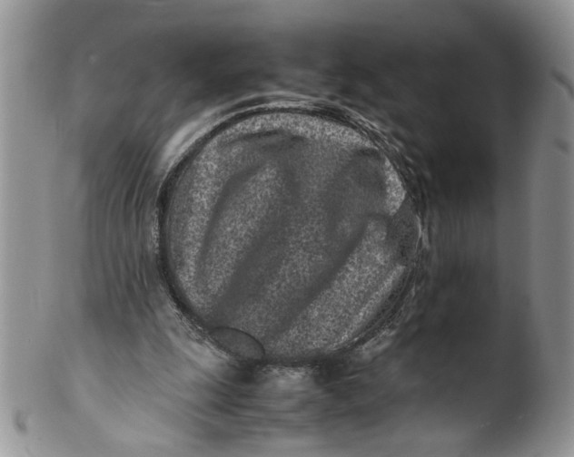 X0000099940247200806131431