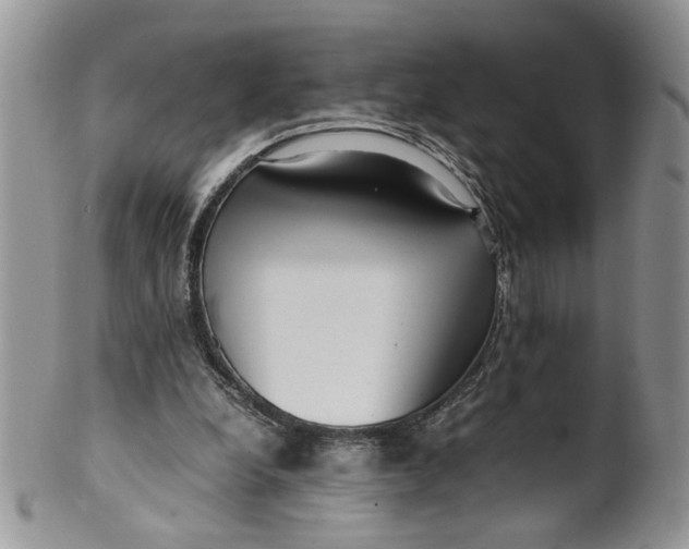 X0000099940248200806131431