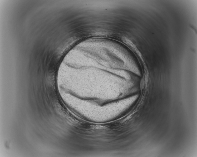 X0000099940249200806131432