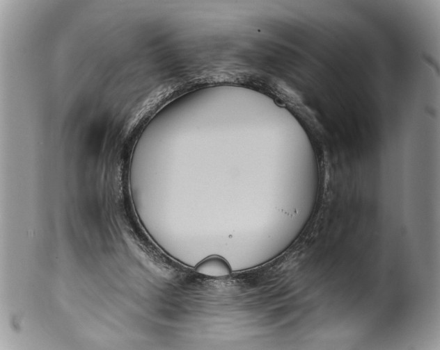 X0000099940250200806131432