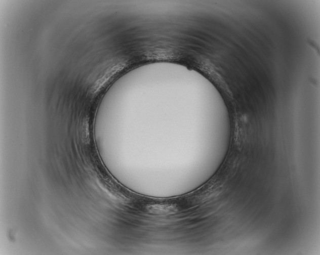 X0000099940251200806131432