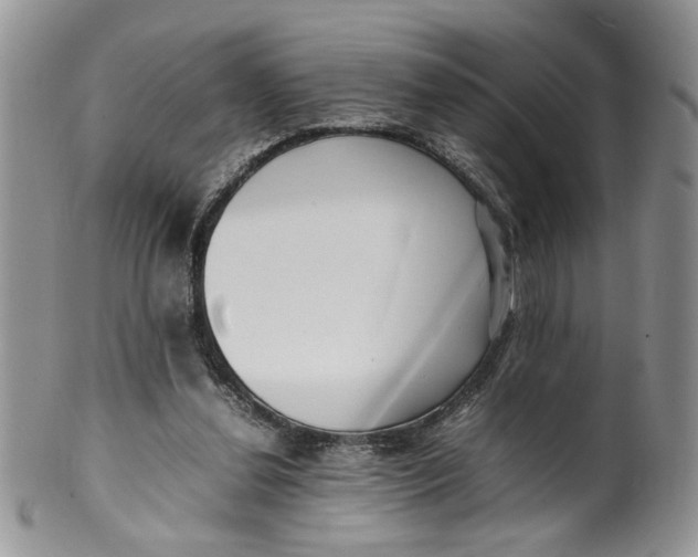 X0000099940252200806131432