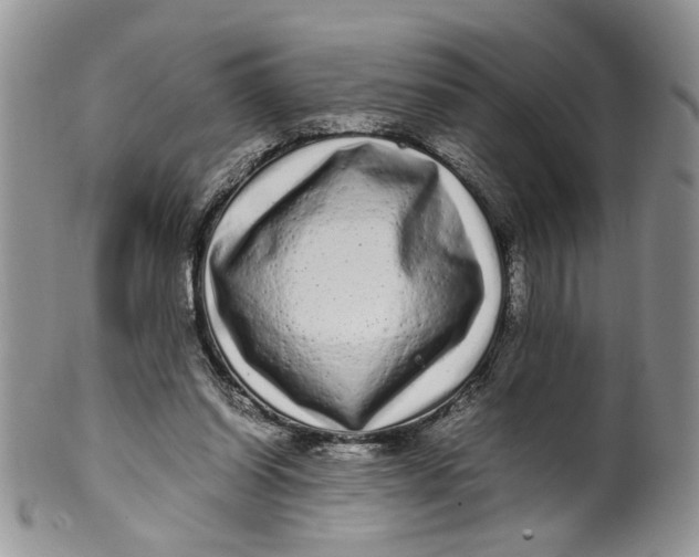 X0000099940254200806131432