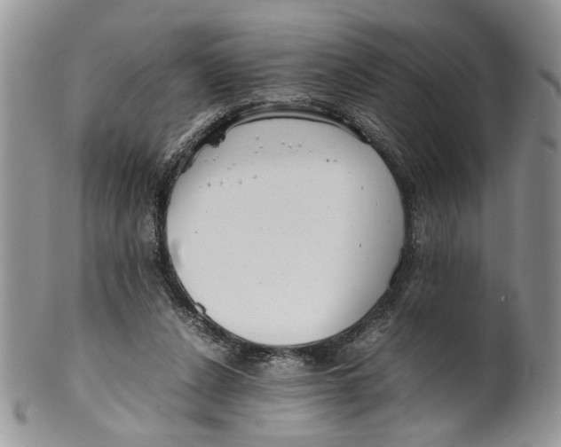 X0000099940256200806131432