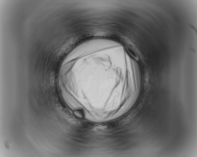 X0000099940257200806131432