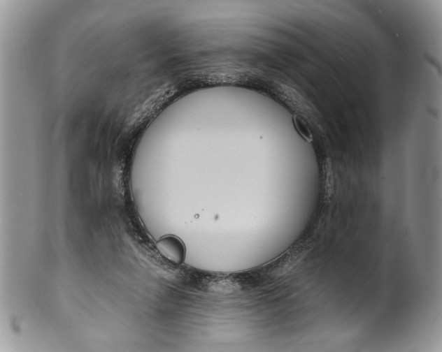 X0000099940258200806131432