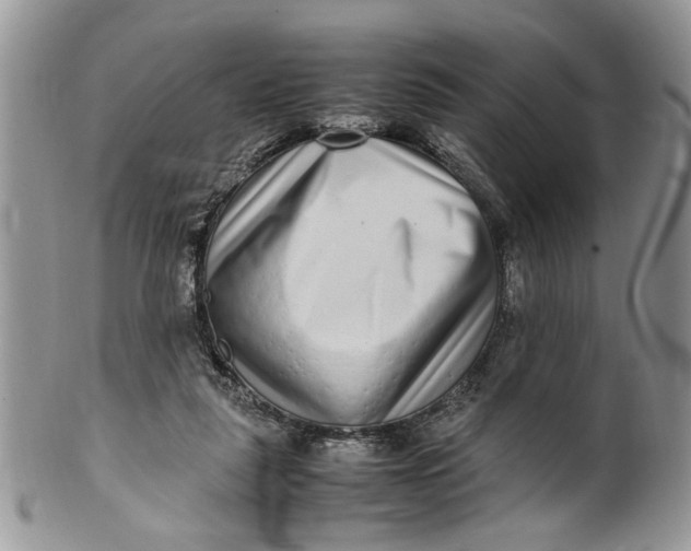 X0000099940259200806131432