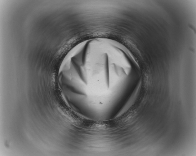 X0000099940260200806131432