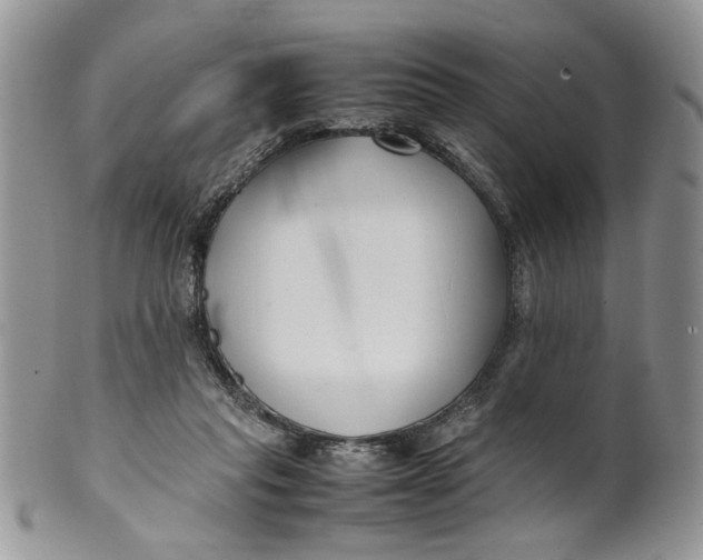 X0000099940261200806131432