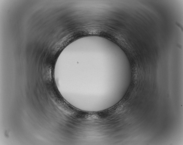 X0000099940262200806131432