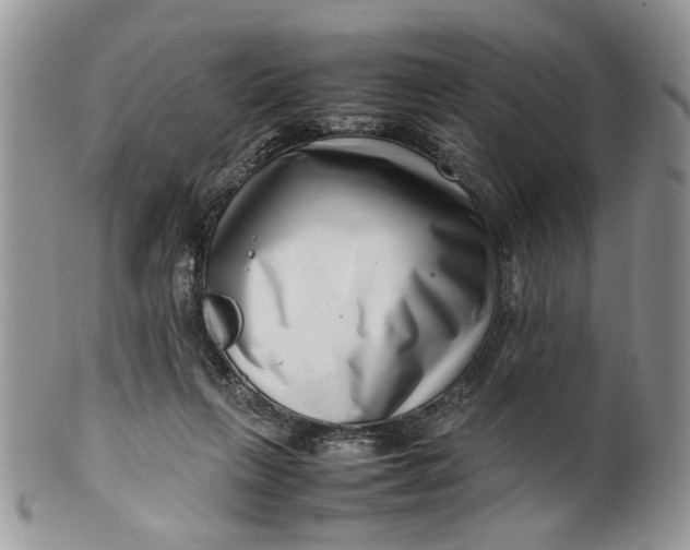 X0000099940263200806131432