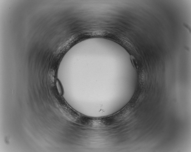 X0000099940264200806131432