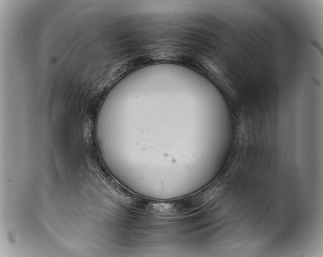 X0000099940265200806131432