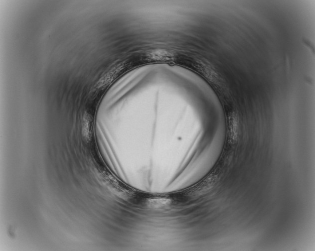 X0000099940266200806131432