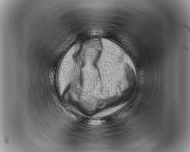 X0000099940269200806131432