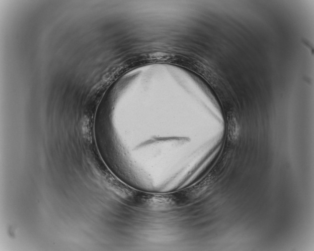 X0000099940270200806131432