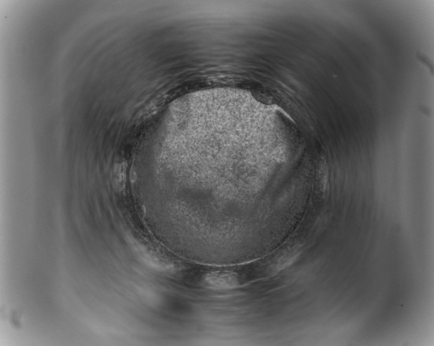 X0000099940271200806131432