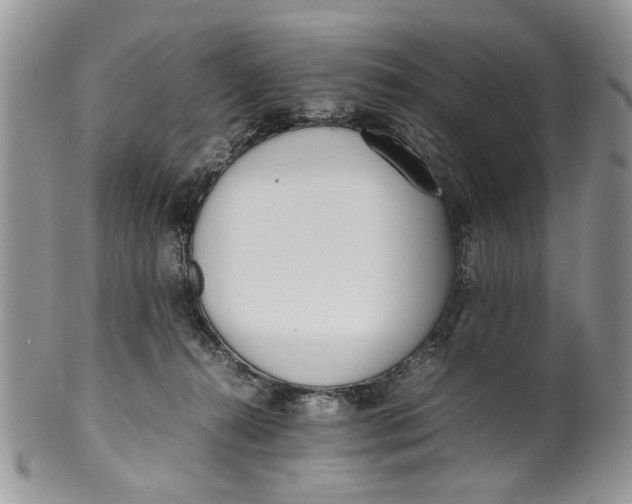 X0000099940272200806131432