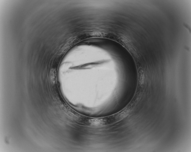 X0000099940273200806131432