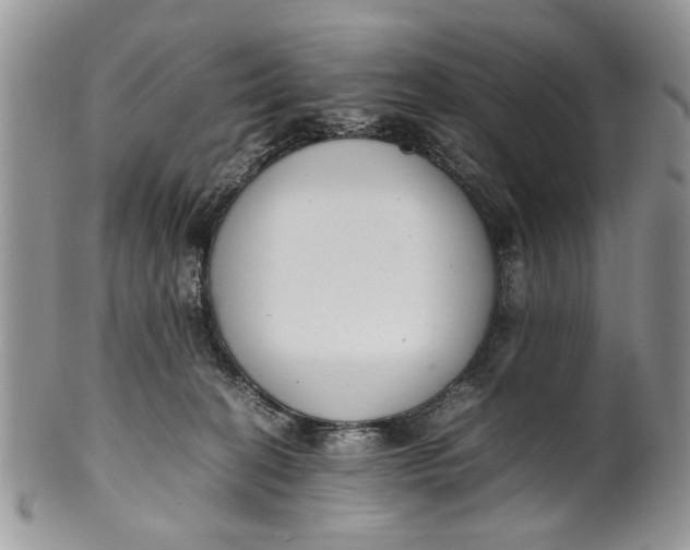 X0000099940274200806131432