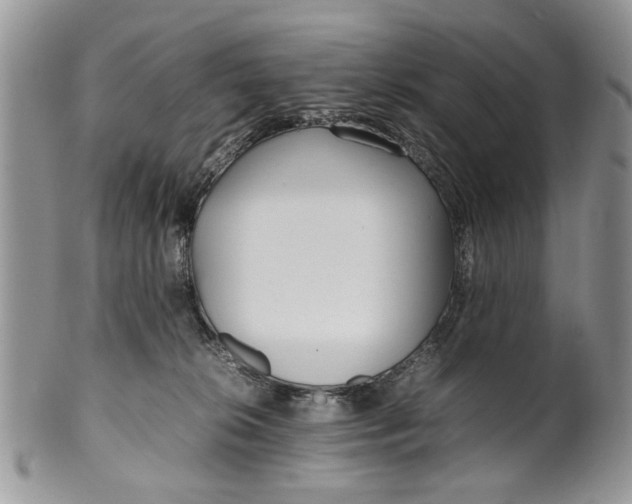 X0000099940276200806131432