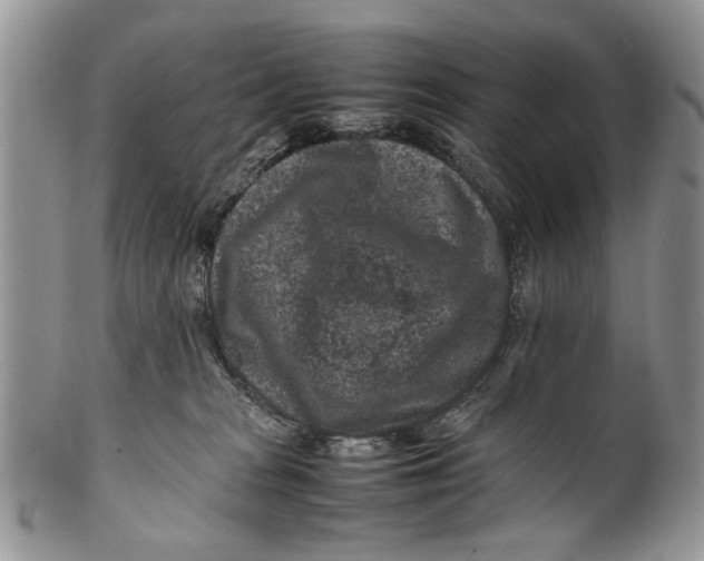 X0000099940277200806131432