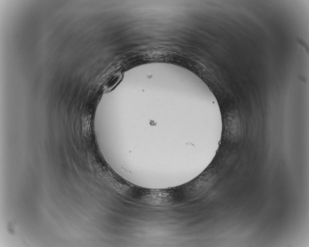 X0000099940278200806131432