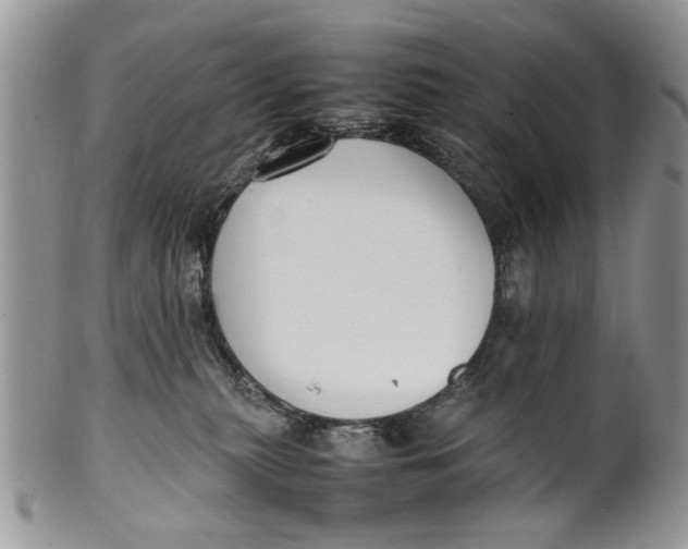 X0000099940279200806131432