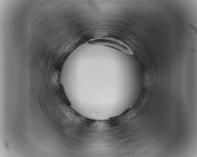 X0000099940280200806131432