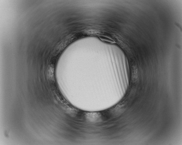 X0000099940281200806131432