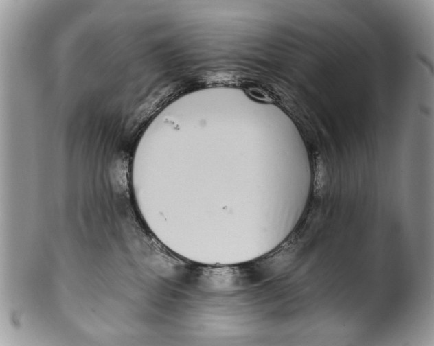 X0000099940282200806131432