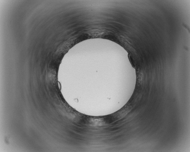 X0000099940283200806131432